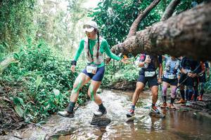 BIB: 
                            <button type="button" onclick="openModal(25373652)" class="btn btn-primary btn-sm float-right btn-popup" data-toggle="modal" data-target=".modal-high-quality">
                        <i class="fas fa-shopping-cart"></i> Add to Cart
                    </button>
                                            <button type="button" onclick="isThisMe(25373652, true)" class="btn btn-success btn-sm float-right btn-popup btn-isme hidden" data-toggle="tooltip" data-placement="bottom" title="นี่คือรูปของคุณใช่ไหม คลิกที่นี่เพื่อเอาเข้าอัลบั้ม">
                        <i class="fas fa-plus"></i> Add to album
                    </button>
                    <button type="button" onclick="isThisMe(25373652, false)" class="btn btn-warning btn-sm float-right btn-popup btn-isnotme hidden">
                        <i class="fas fa-ban"></i> Remove from album
                    </button>